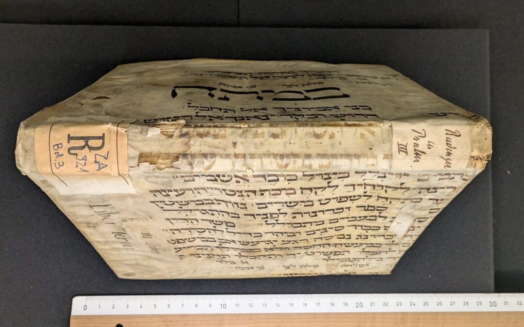 Schätze der Stadtbibliothek – Verschwundene Bibliotheken: Was uns Handschriftenfragmente erzählen können